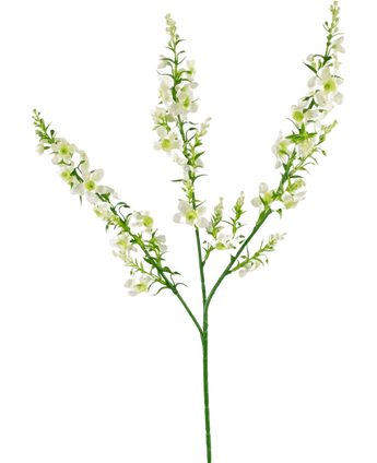 Artificial Flower Catnip 75 cm White - Easyplants Artificial Plants & Flowers