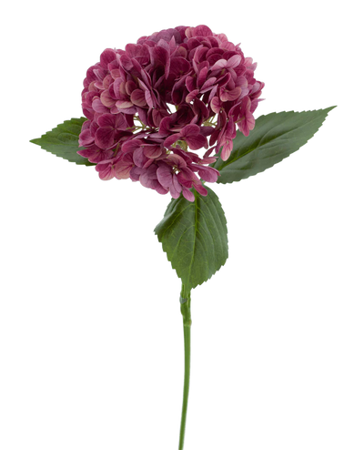 De Kunstbloem Charlotte Hortensia Real Touch paars 55 cm heeft een enkele steel van een paarse hortensia met meerdere kleine bloemblaadjes en groene bladeren, tegen een effen witte achtergrond.