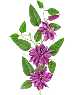 Artificial Flower Clematis Large 81 CM Purple - Easyplants Artificial Plants & Flowers