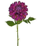 Artificial Flower Dahlia 50 cm Purple - Easyplants Artificial Plants & Flowers