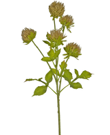 Artificial flower thistle 66 cm brown - Easyplants Artificial Plants & Flowers