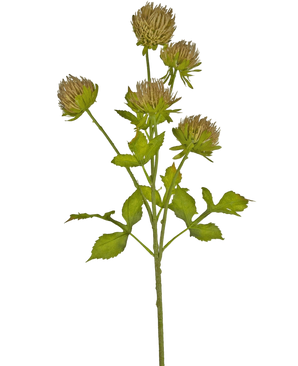 Artificial flower thistle 66 cm brown - Easyplants Artificial Plants & Flowers