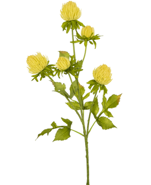 Artificial flower Distel 66 cm cream - Easyplants Artificial Plants & Flowers