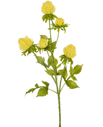 Artificial flower Distel 66 cm cream - Easyplants Artificial Plants & Flowers