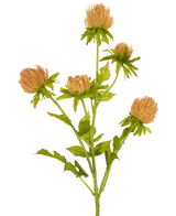 Artificial flower thistle 66 cm peach - Easyplants Artificial Plants & Flowers