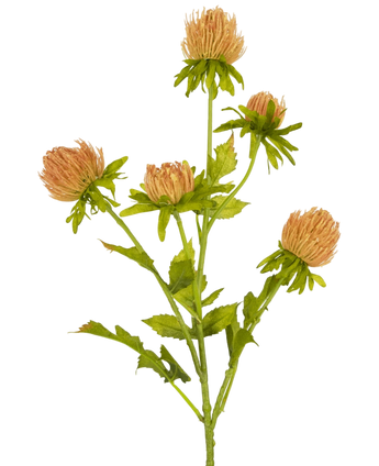 Artificial flower thistle 66 cm peach - Easyplants Artificial Plants & Flowers