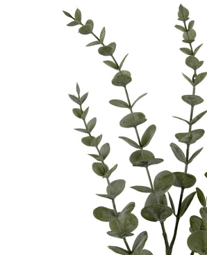 Drie Kunstbloem Eucalyptus Yugali stammen (71 cm) met ronde groene bladeren, diagonaal gerangschikt op een witte achtergrond.
