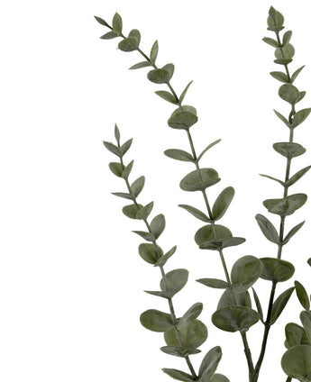 Drie Kunstbloem Eucalyptus Yugali stammen (71 cm) met ronde groene bladeren, diagonaal gerangschikt op een witte achtergrond.