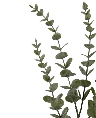 Drie Kunstbloem Eucalyptus Yugali stammen (71 cm) met ronde groene bladeren, diagonaal gerangschikt op een witte achtergrond.