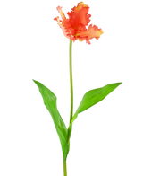 Artificial Flower French Parakeet Tulip 76 cm Coral - Easyplants Artificial Plants & Flowers