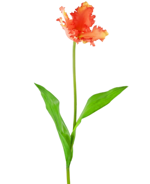 Artificial Flower French Parakeet Tulip 76 cm Coral - Easyplants Artificial Plants & Flowers