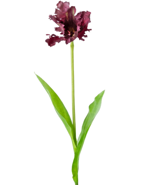 Artificial Flower French Parakeet Tulip 76 cm Purple - Easyplants Artificial Plants & Flowers