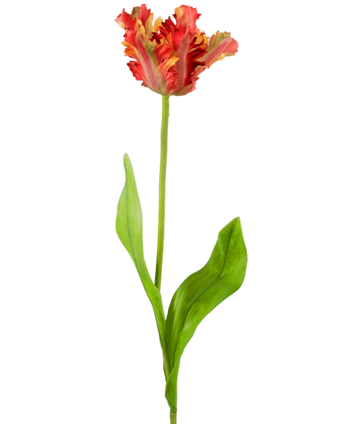 Artificial Flower French Parakeet Tulip 76 cm Red/Yellow - Easyplants Artificial Plants & Flowers