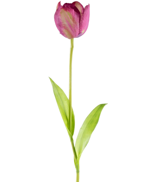Artificial Flower French Tulip 60 cm Purple - Easyplants Artificial Plants & Flowers