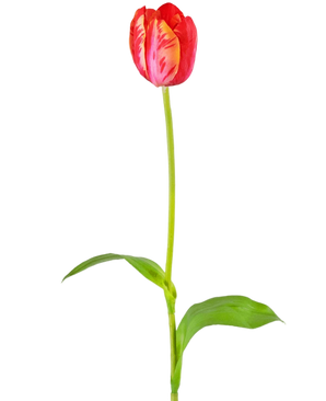 Artificial Flower French Tulip 60 cm Red - Easyplants Artificial Plants & Flowers