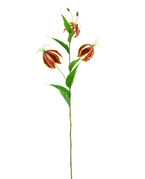 Artificial flower gloriosa real touch red 75 cm - Easyplants Artificial Plants & Flowers