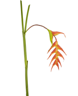 Artificial flower heliconia 120 cm red - Easyplants Artificial Plants & Flowers