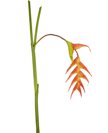 Artificial flower heliconia 120 cm red - Easyplants Artificial Plants & Flowers