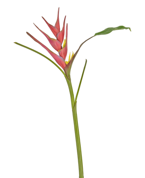 Artificial flower heliconia 90 cm fuchsia - Easyplants Artificial Plants & Flowers