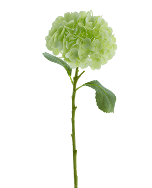 Artificial flower Hortensia Real Touch light green 49 cm - Easyplants Artificial Plants & Flowers