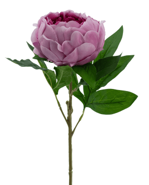 Kunstbloem Lotus peony Real Touch Purple 58 cm