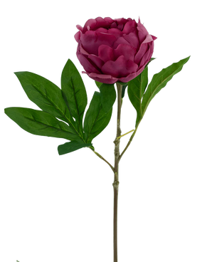 De Kunstbloem Lotus pioenroos Real Touch in rood is een 58 cm grote kunstbloem met gelaagde bloemblaadjes en groene blaadjes op een lange steel, geïsoleerd op een witte achtergrond.