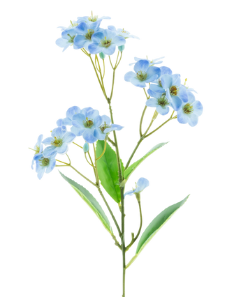 Artificial flower Orchid Real Touch Blue 50 cm - Easyplants Artificial Plants & Flowers