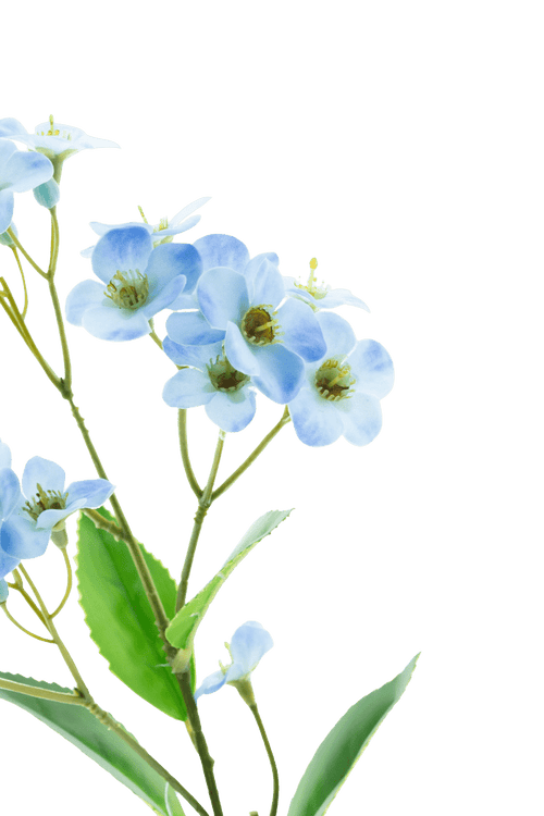 A close-up of the Artificial Flower Orchid Real Touch Blue 50 cm, with delicate light blue orchids with a yellow-green heart and green leaves against a plain white background.