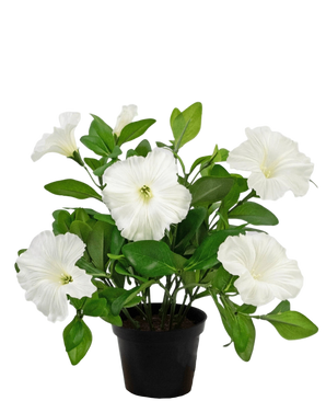 Artificial Flower Petunia Plant 25 cm White - Easyplants Artificial Plants & Flowers