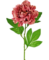 Artificial Flower Peony 77 cm Pink - Easyplants Artificial Plants & Flowers