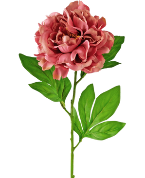 Artificial Flower Peony 77 cm Pink - Easyplants Artificial Plants & Flowers