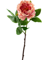 Artificial Flower Peony 61 cm Pink - Easyplants Artificial Plants & Flowers