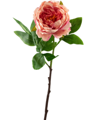 Artificial Flower Peony 61 cm Pink - Easyplants Artificial Plants & Flowers