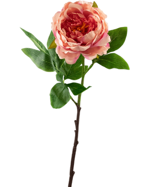 Artificial Flower Peony 61 cm Pink - Easyplants Artificial Plants & Flowers