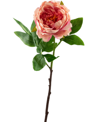 Artificial Flower Peony 61 cm Pink - Easyplants Artificial Plants & Flowers