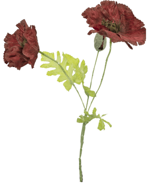Kunstbloem Poppy 73 cm Bordeaux