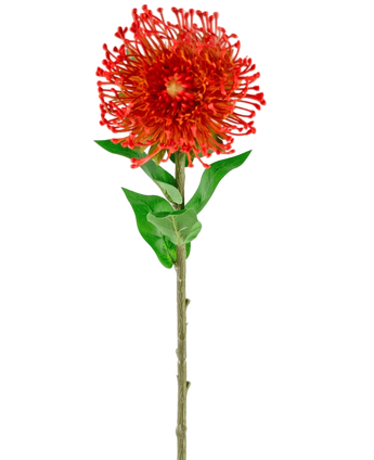Artificial Flower Protea 73 cm Red - Easyplants Artificial Plants & Flowers