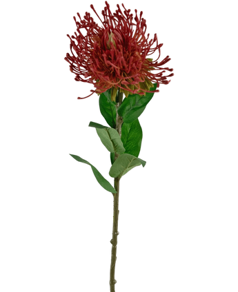 Artificial Flower Protea 73 cm Red - Easyplants Artificial Plants & Flowers