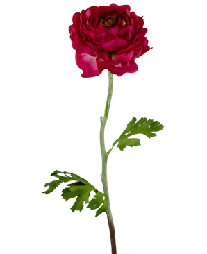 Artificial Flower Ranunculus 51 cm Dark Pink - Easyplants Artificial Plants & Flowers