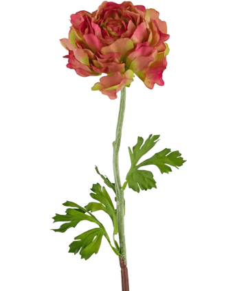 Artificial Flower Ranunculus 51 cm Pink/Green - Easyplants Artificial Plants & Flowers