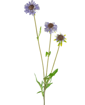 Artificial Flower Scabiosa 63 cm Blue - Easyplants Artificial Plants & Flowers