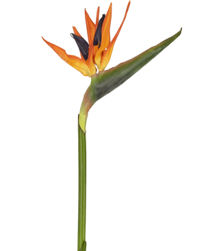 Artificial flower Strelitzia 86 cm red/purple - Easyplants Artificial Plants & Flowers