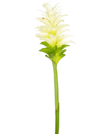 Artificial flower turmeric 80 cm - Easyplants Artificial Plants & Flowers