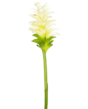 Artificial flower turmeric 80 cm - Easyplants Artificial Plants & Flowers
