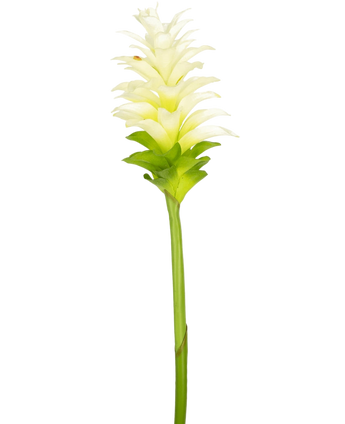 Artificial flower turmeric 80 cm - Easyplants Artificial Plants & Flowers