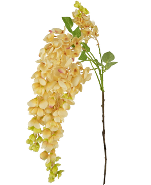 Artificial flower wisteria 100 cm cream - Easyplants Artificial Plants & Flowers