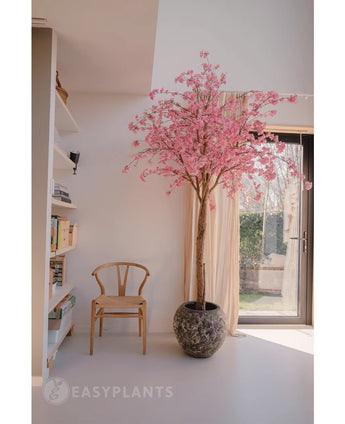 The Artificial Cherry Blossom Pink Tree 240 cm with pink blossoms is located near a window in a bright, modern room. A wooden chair sits nearby, with bookshelves to the left and sunlight streaming through the sheer curtains.