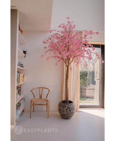 De Kunstboom Kersenbloesem roze 240 cm met roze bloesems staat bij een raam in een lichte, moderne kamer. Een houten stoel staat vlakbij, met links boekenplanken en zonlicht dat door de transparante gordijnen naar binnen schijnt.