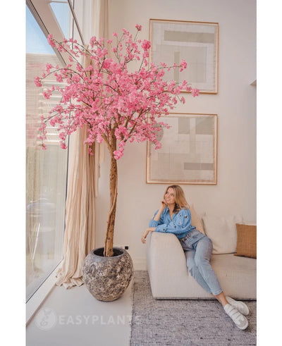 A woman in casual clothes relaxes on a beige sofa next to a 240 cm Artificial Cherry Blossom Pink Tree with pink flowers, placed in a modern living room with abstract wall art and large windows.