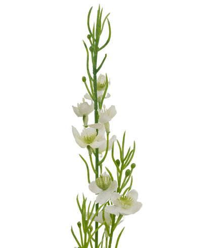 Een close-up van de Kunstgras Gierst Uien graspot 65cm brandvertragend, met groene stelen met delicate witte bloemen en kleine knoppen, verticaal gerangschikt tegen een effen witte achtergrond.